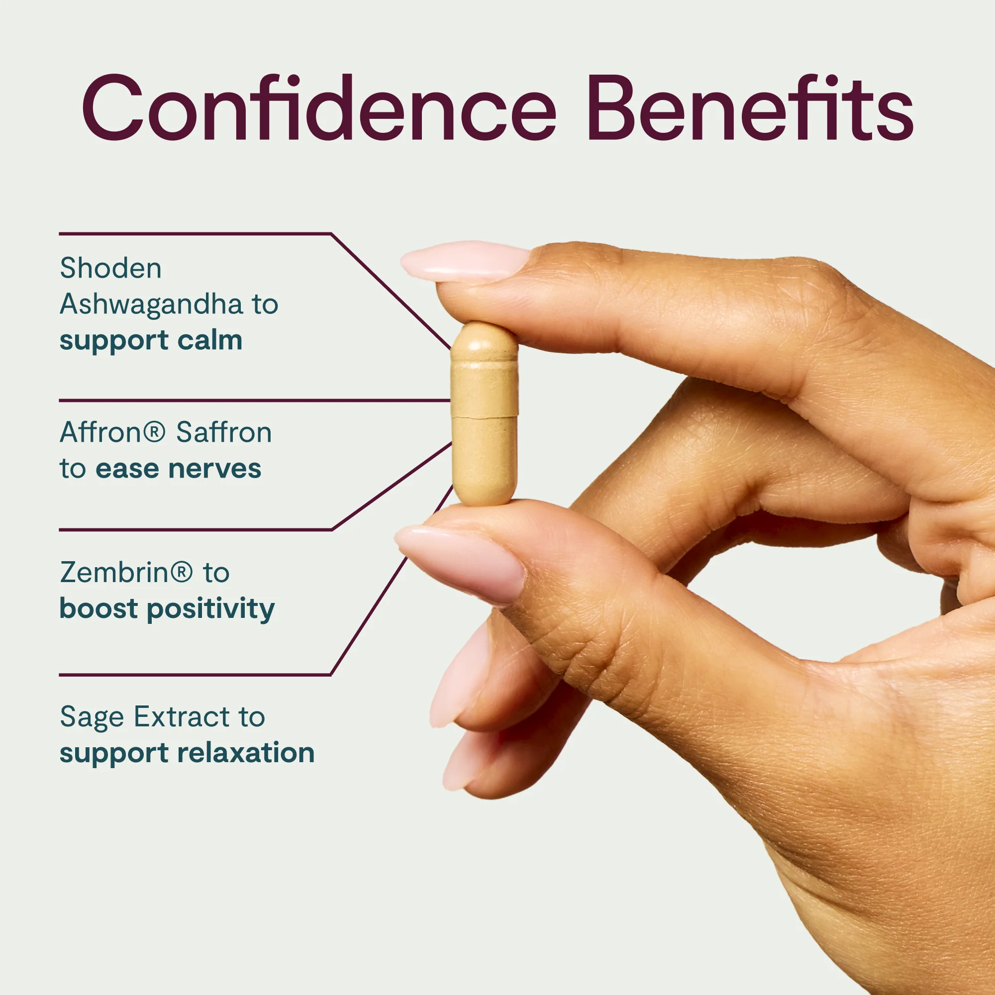 Confidence Kit - Image 6