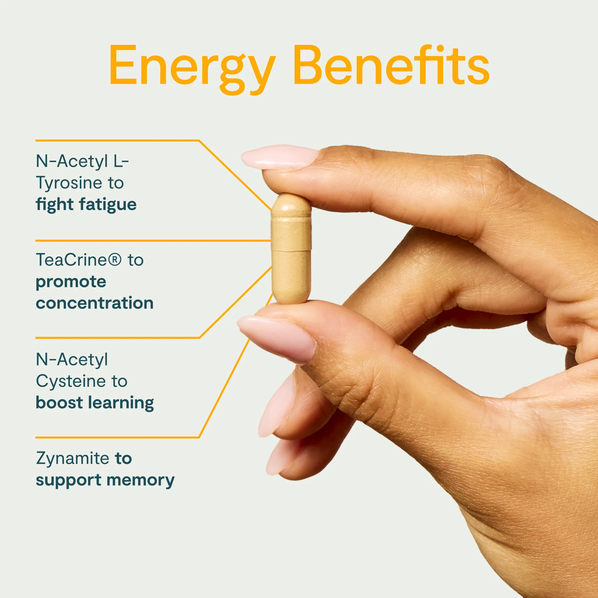 Energy Kit - Image 6